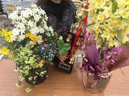 201903231199.jpg