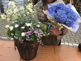 201903231206.jpg