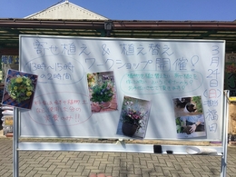 201903241282.jpg