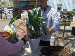 201903241297.jpg