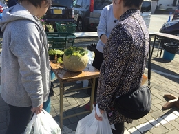 201903241341.jpg