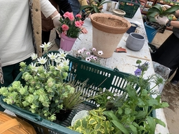 201904145834.jpg