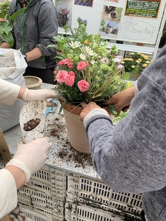 201904145874.jpg