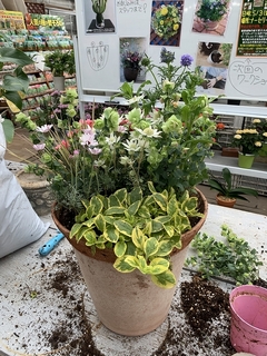 201904145876.jpg
