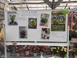 201904291797.jpg