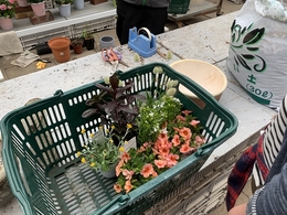 201904145847.jpg