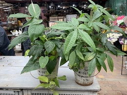 201904145858.jpg