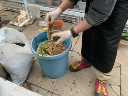 201904145915.jpg