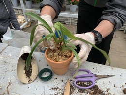 201904145918.jpg