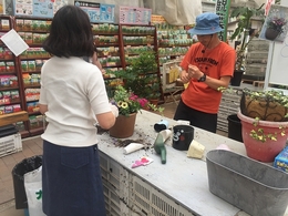 201905193024.jpg