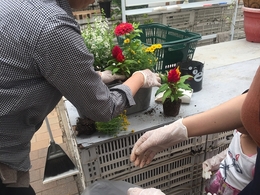 201905193054.jpg