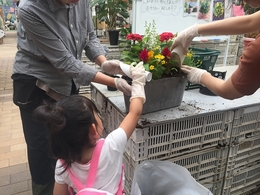 201905193063.jpg