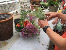 201905193095.jpg