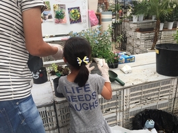 201905193115.jpg