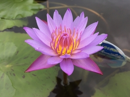 201906163572.jpg