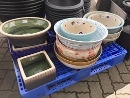 201906163579.jpg