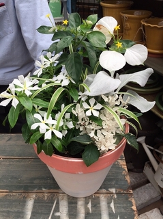 20190712071703.jpg