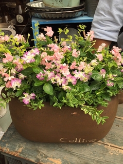 20190712071704.jpg