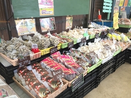 201908194334.jpg