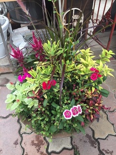 201908234385.jpg