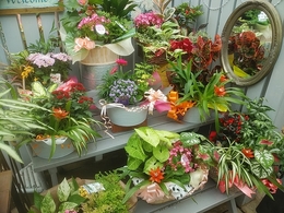 20190913gift01.jpg