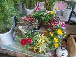 2019092810yoseuesample.jpg