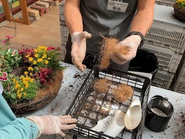 20190928108136.jpg