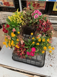 20190928108144.jpg