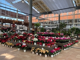 20191101103007.jpg