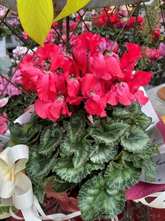 20191118120005.jpg