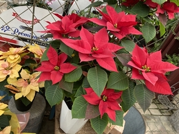 20191203121001.jpg