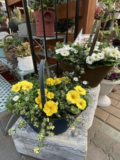 20191223107001.jpg