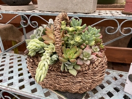 20191224111101.jpg