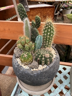 20191224111701.jpg