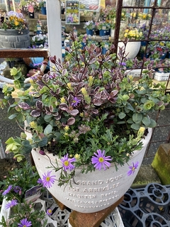 20191224114702.jpg
