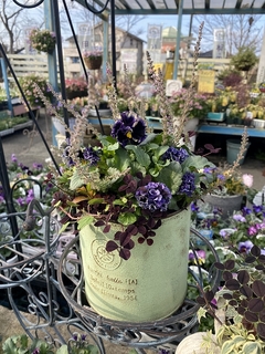 20191224114902.jpg