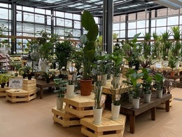 20200917090120.jpg