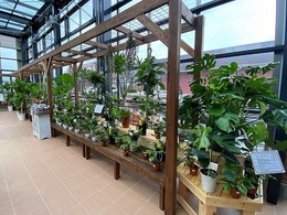20200917090131.jpg