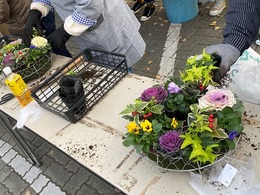 2020121214006438.jpg