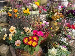 2020123009016748.jpg