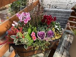 2020123009056780.jpg