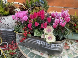 2020123009076777.jpg