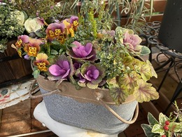 2020123009116781.jpg
