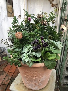 202001241400sample.jpg