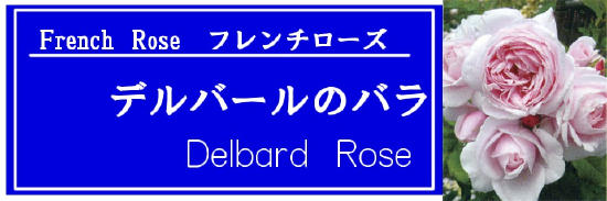100413_jyumoku_deru2.jpg