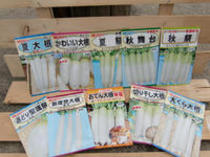 大根