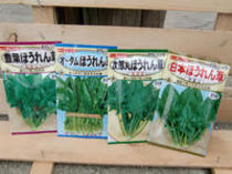 ほうれん草