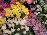 生花・造花