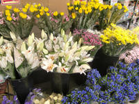 090903_生花売場.JPG