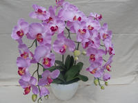 090905_造花光胡蝶蘭_pink.JPG